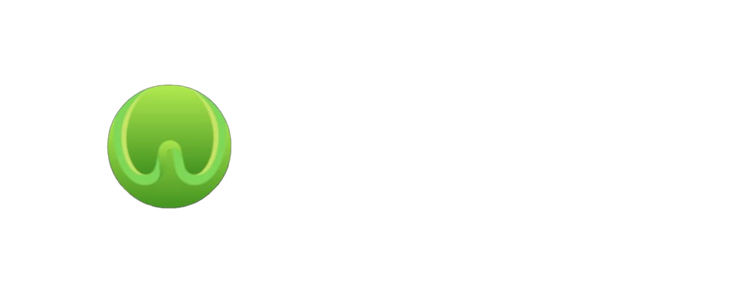 WitFora 