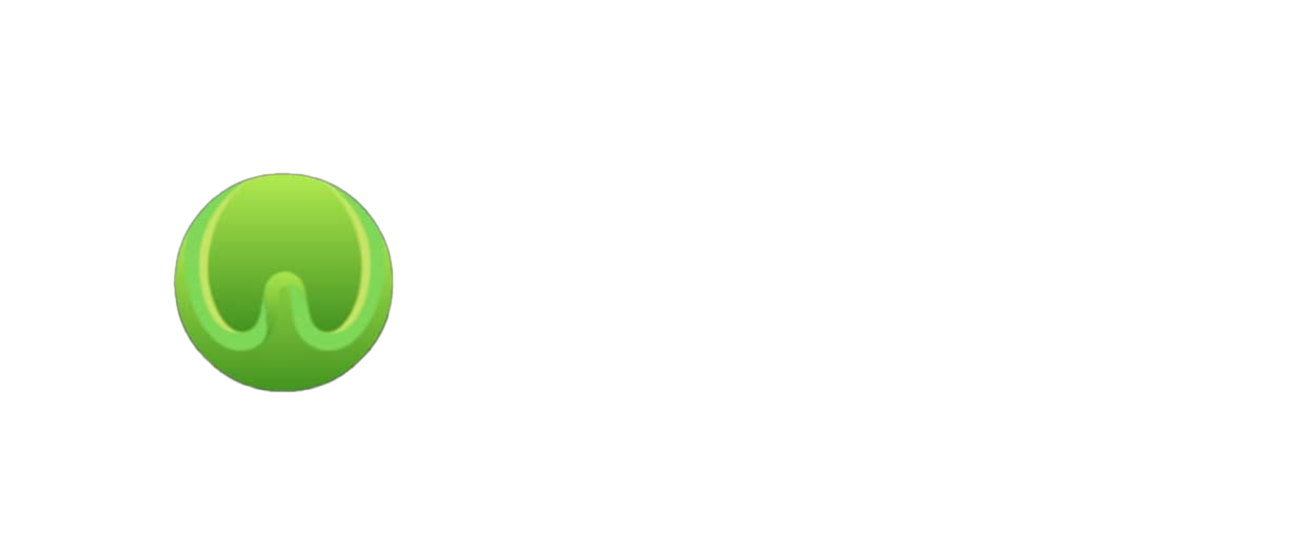 WitFora Logo